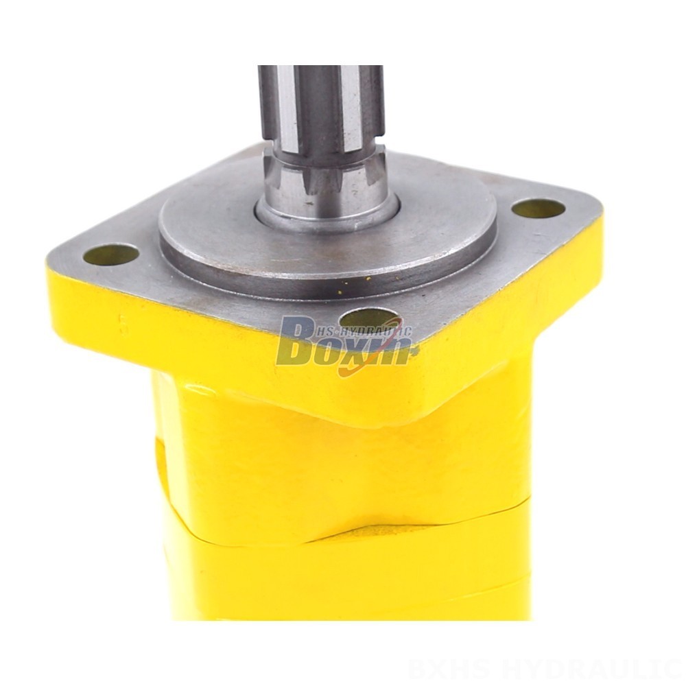 BM5 Cycloid Hydraulic Motor: OEM/ODM Services Available detail image